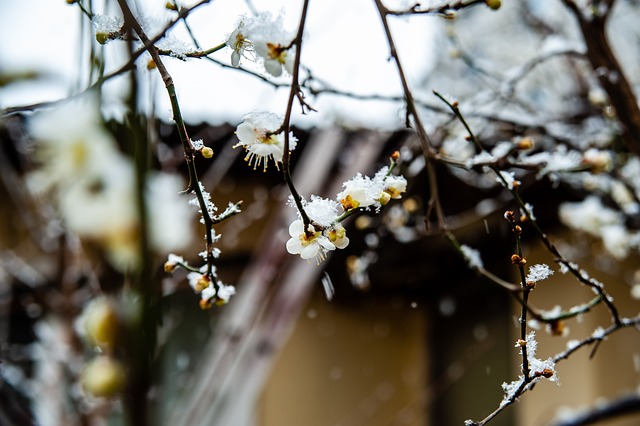 样一位锋芒