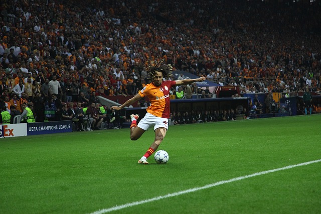 盛会的成功 盛会的成功