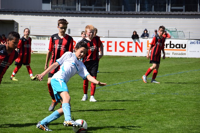 他不惯毛病 他不惯毛病