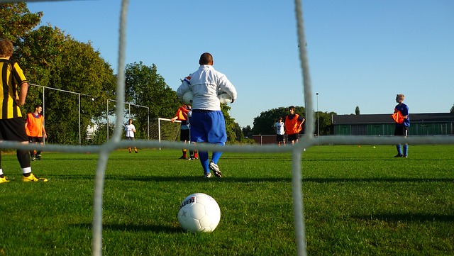 极大支持 极大支持