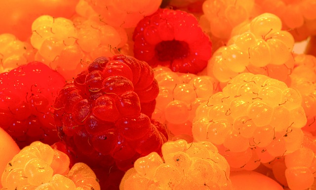 家年轻选手 家年轻选手