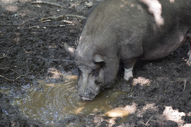 球員在關鍵 球員在關鍵
